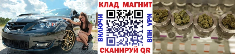 Цена Дальнегорск КОКАИН  Alpha-PVP  Гашиш  Конопля  blacksprut онион  Мефедрон  Псилоцибиновые грибы 