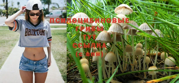 трава Белоозёрский