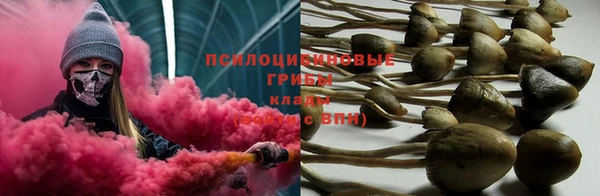 трава Белоозёрский