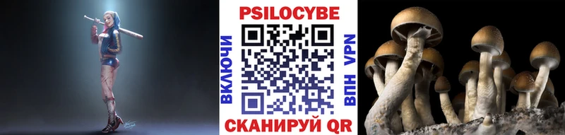 гидра ссылка  Дальнегорск  Псилоцибиновые грибы GOLDEN TEACHER 